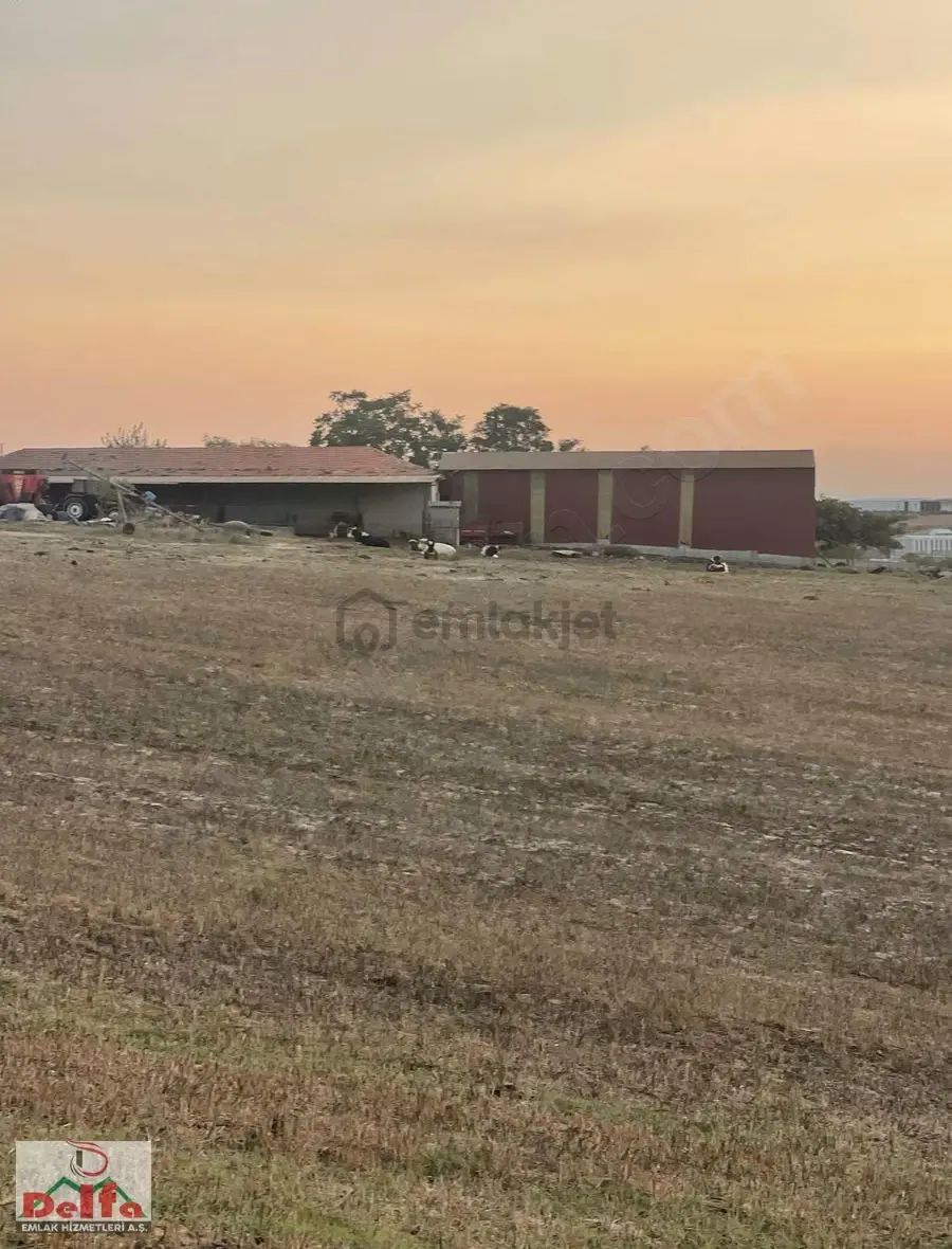 Veliköyde Satlık Tek Tapu Tara 10500m2 - 13