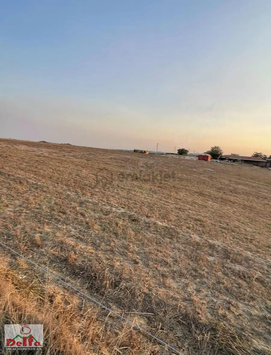 Veliköyde Satlık Tek Tapu Tara 10500m2 - 10