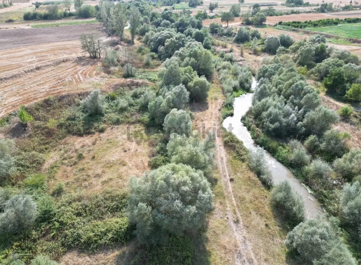 Kırklareli Babaeski Taşağıl Da Tek Tapu 500 M2 Tarla