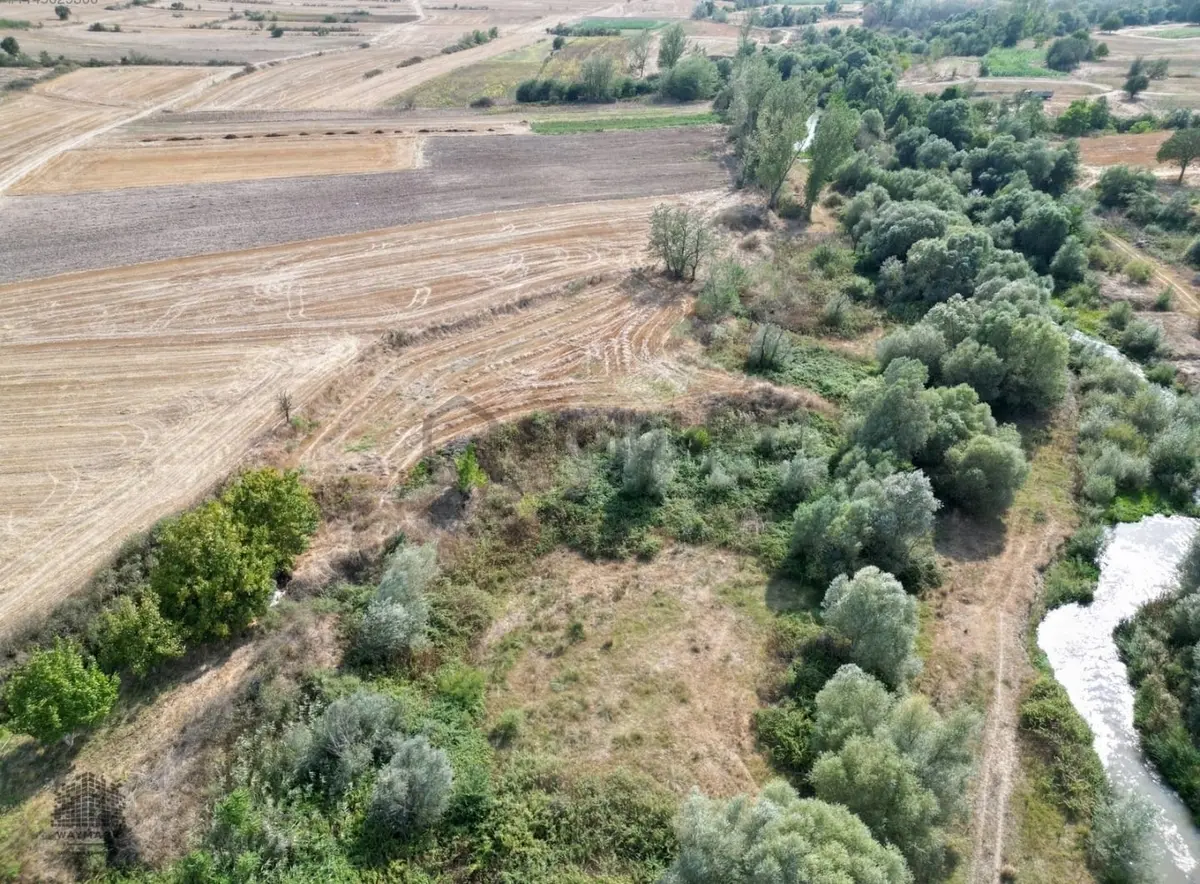 Kırklareli Babaeski Taşağıl Da Tek Tapu 500 M2 Tarla - 3