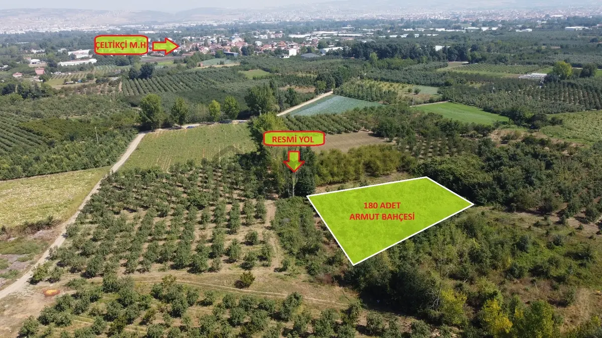 Ulucan'dan İnegöl Çeltikçide Satılık Mükemmel Tarla - 8