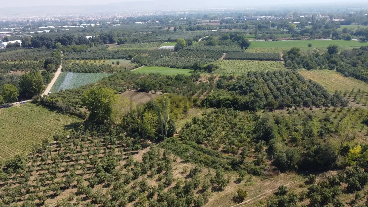Ulucan'dan İnegöl Çeltikçide Satılık Mükemmel Tarla - 9