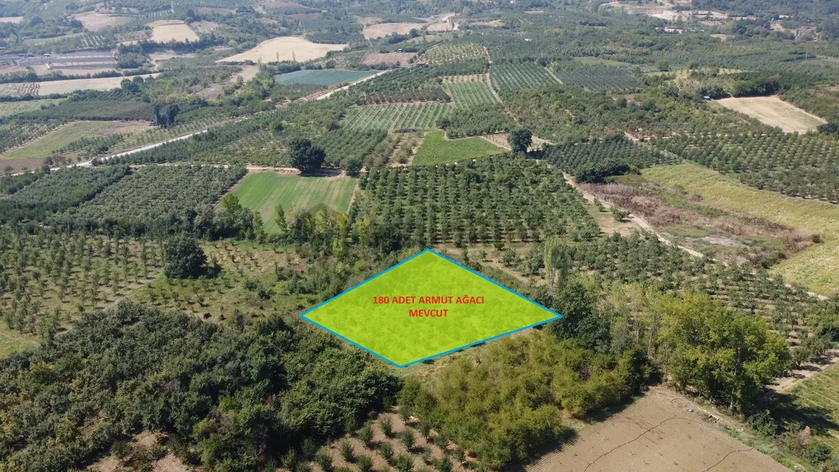 Ulucan'dan İnegöl Çeltikçide Satılık Mükemmel Tarla