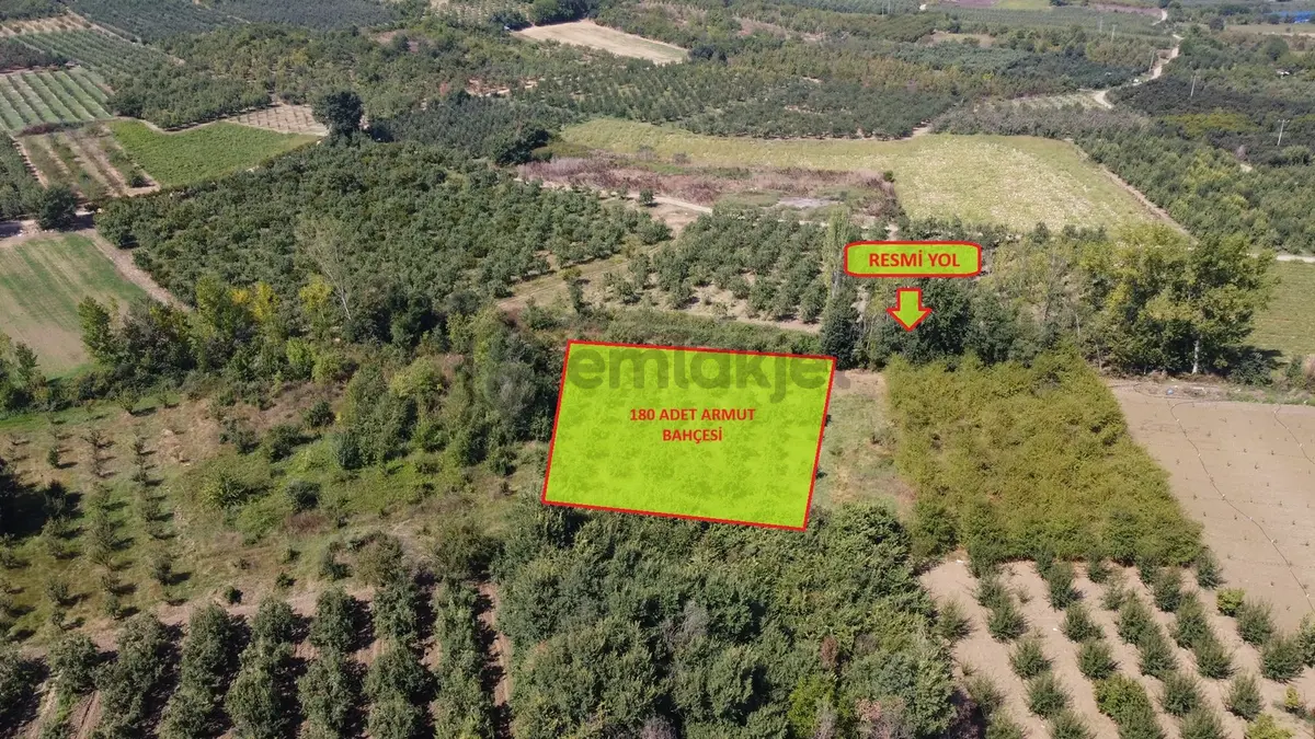 Ulucan'dan İnegöl Çeltikçide Satılık Mükemmel Tarla - 3