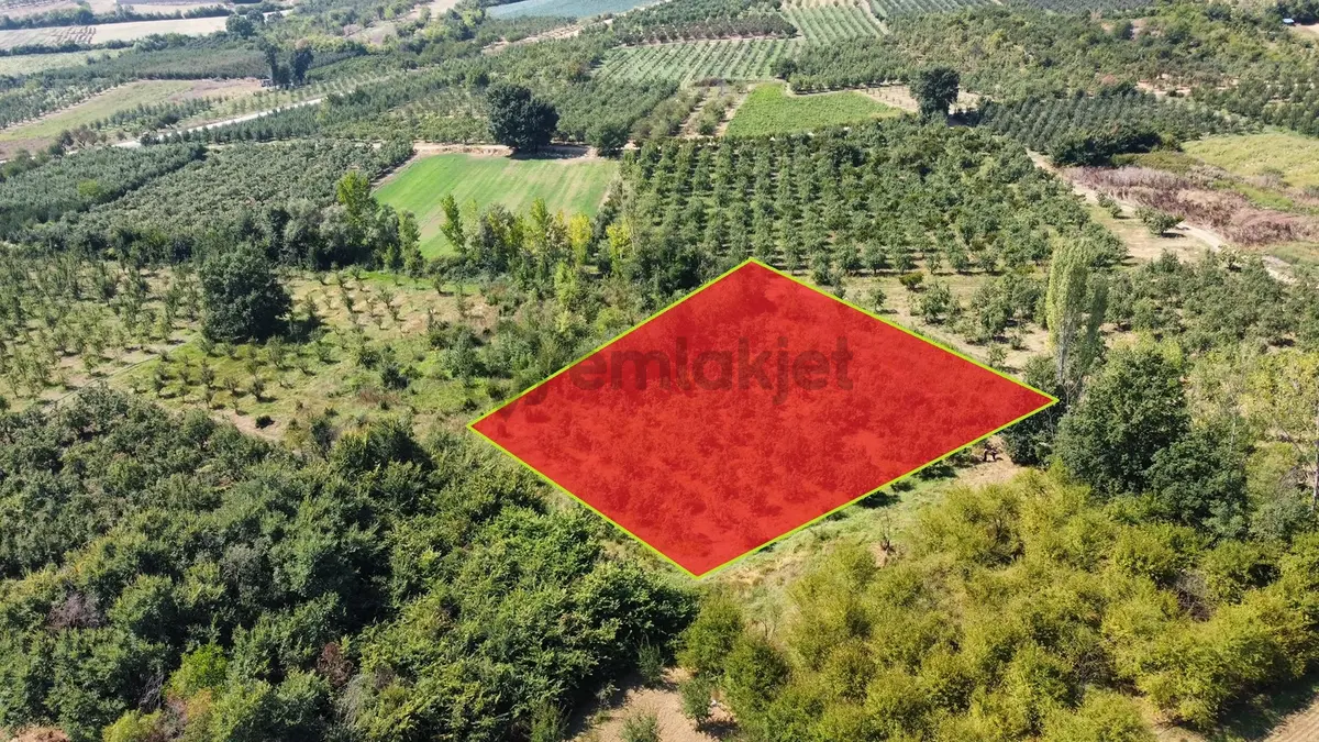 Ulucan'dan İnegöl Çeltikçide Satılık Mükemmel Tarla - 12