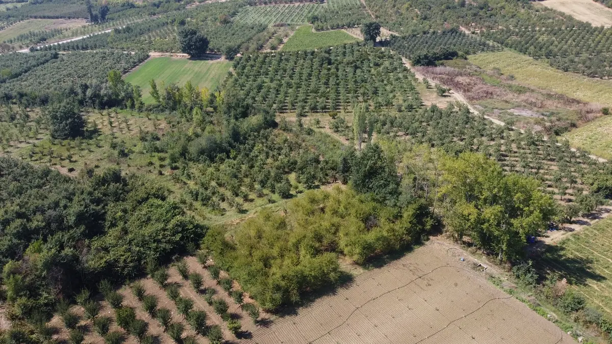 Ulucan'dan İnegöl Çeltikçide Satılık Mükemmel Tarla - 10