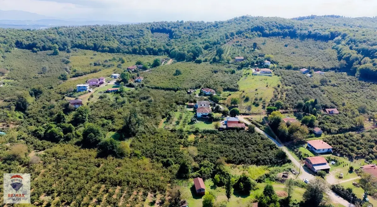 Hendek Aktefekte 1944 M² Konut İmarlı Arsa 151/32 Parsel - 8