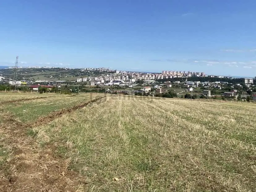 Bulut Emlak; Kuşculu Mah. Yatırımlık Parseller - 5