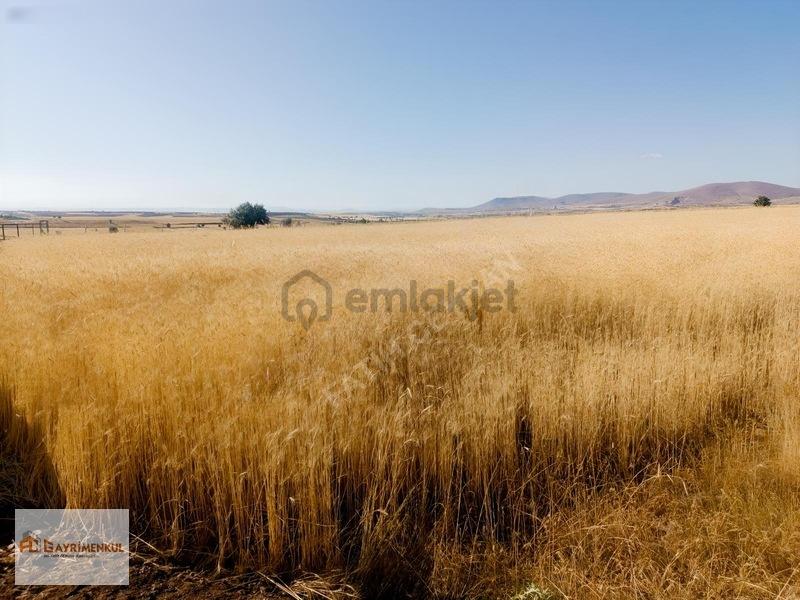 Talas Ardıç Köyü Satılık 4500 M² Tarla - 5