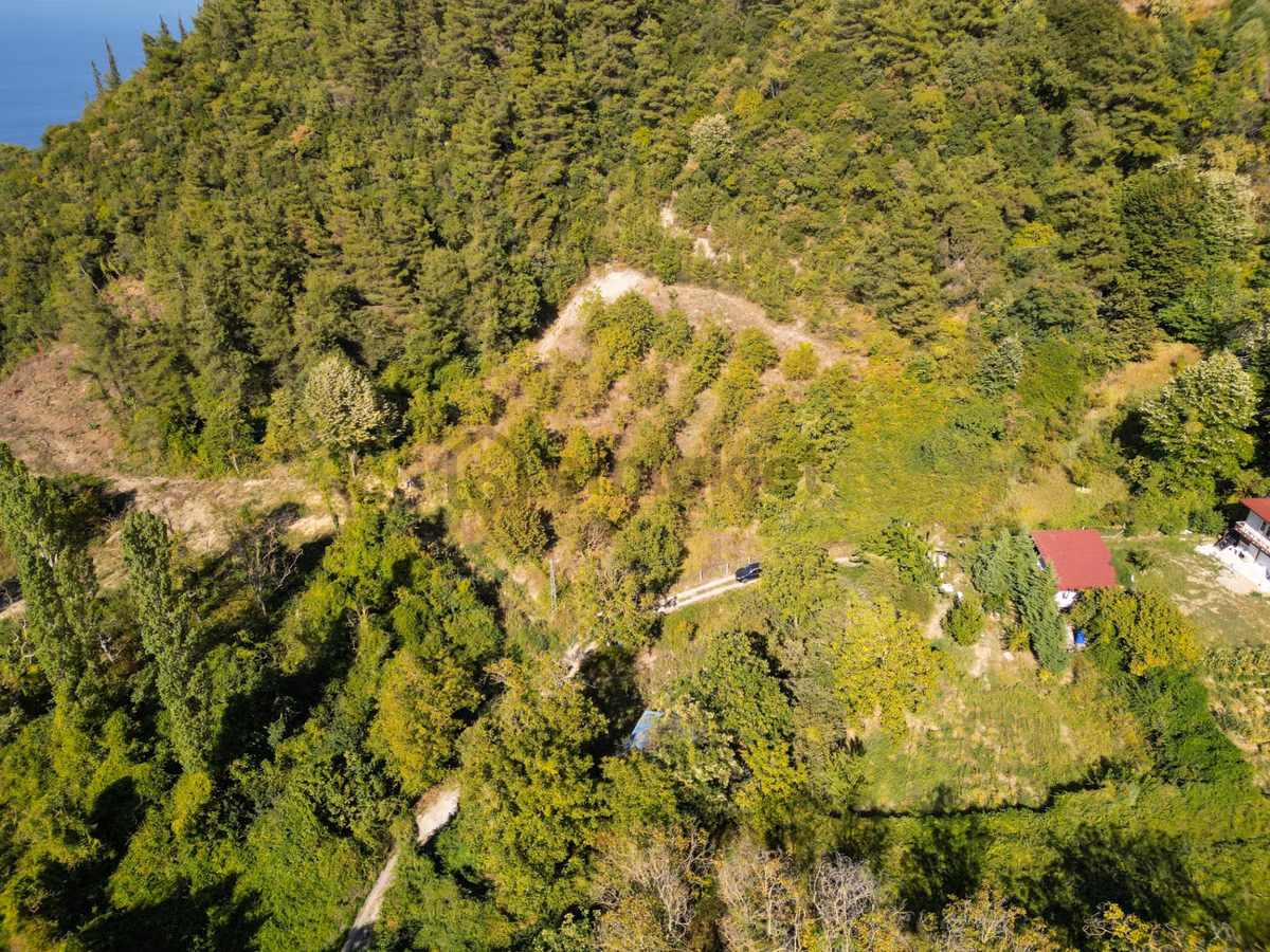 Karamürsel Ereğli %5 İmarlı 373 M2 Satılık Bahçe - 4