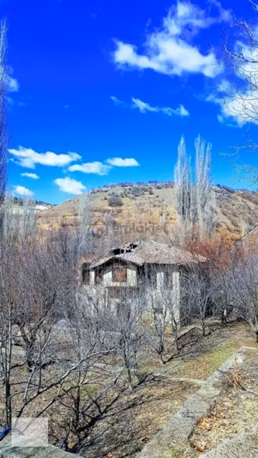 Ahşap Evli Bağ Vasıflı Tek Tapu, Ayaş Karadere Bağlarında - 15