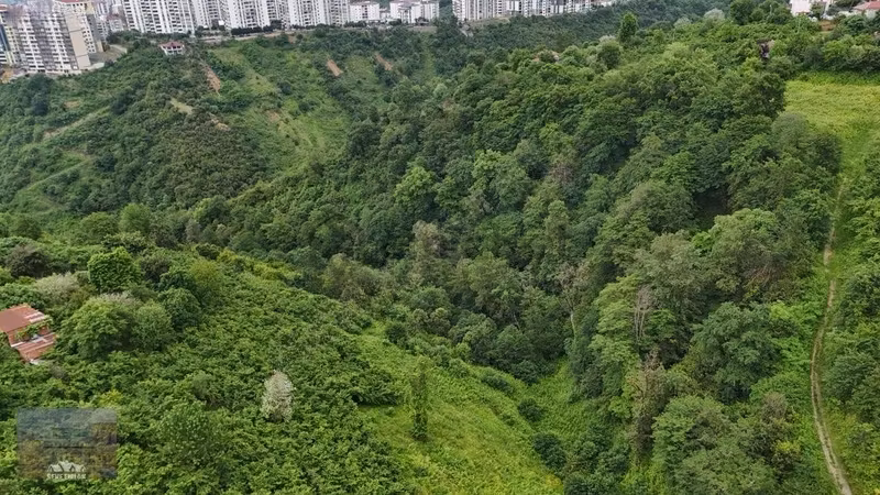 Yalıncak'da Satılık 5269 M2 Arazi - 11