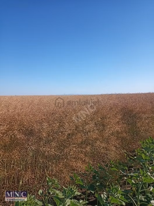 Tekirdağ Karacakılavuz'da Satılık 4150 M² Tarla