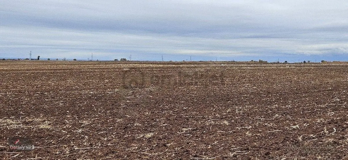 Sütlüçe Köyün'de 2.542 M2 Satılık - 17