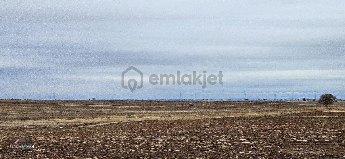 Sütlüçe Köyün'de 2.542 M2 Satılık - 16