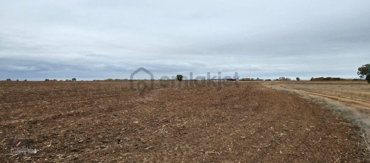 Sütlüçe Köyün'de 2.542 M2 Satılık - 2