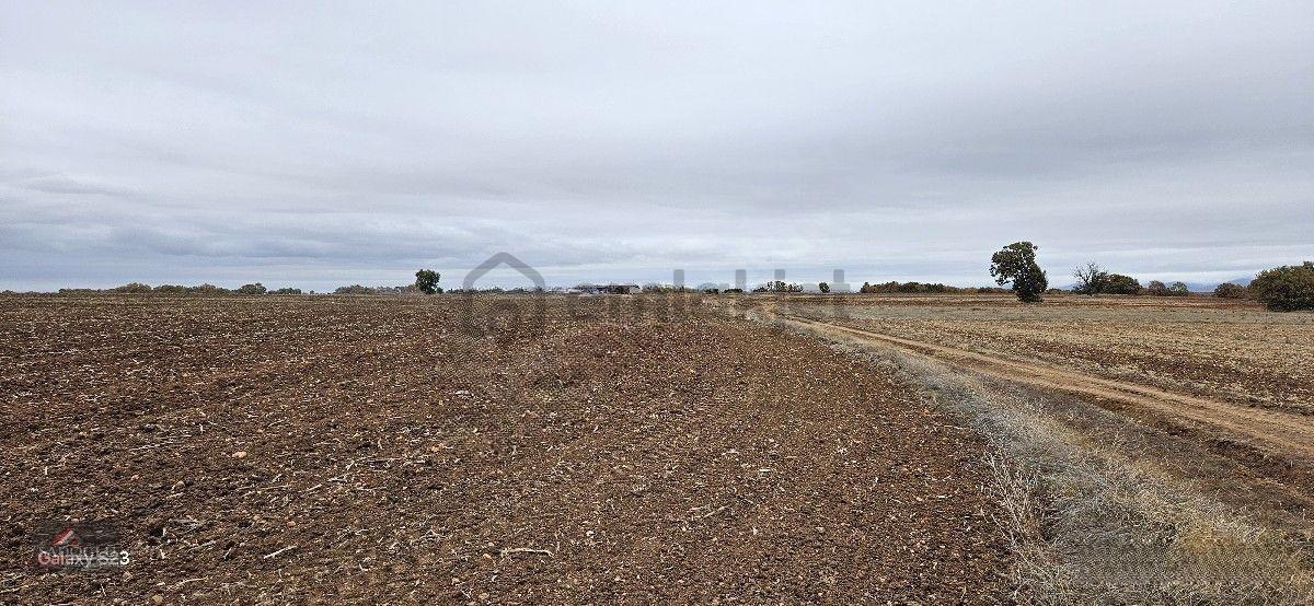 Sütlüçe Köyün'de 2.542 M2 Satılık - 28