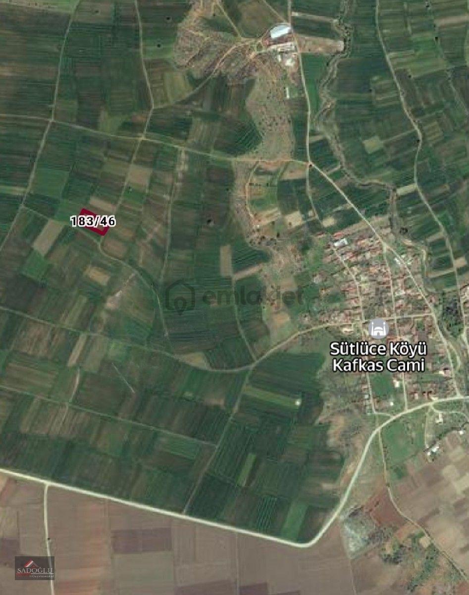 Sütlüçe Köyün'de 2.542 M2 Satılık - 7