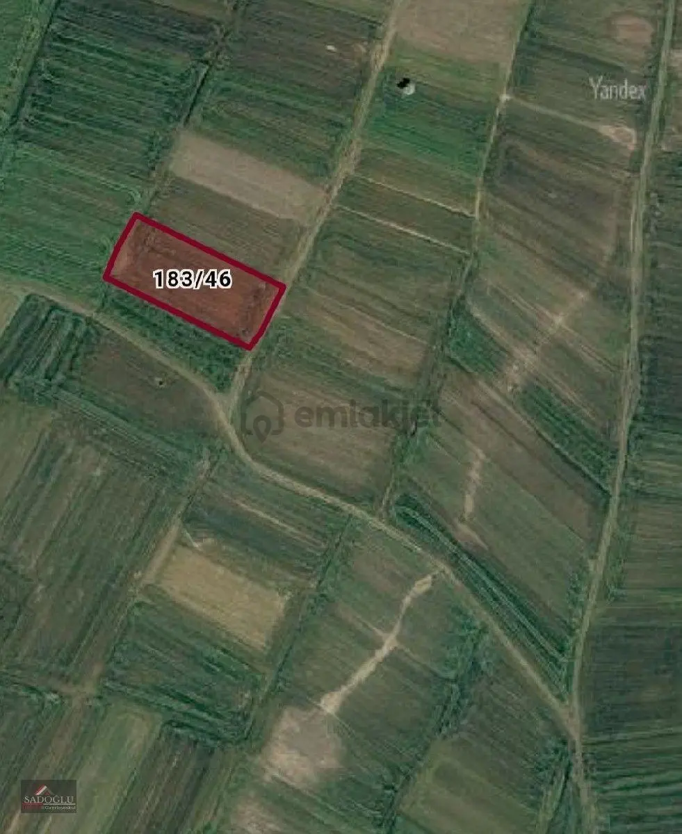 Sütlüçe Köyün'de 2.542 M2 Satılık - 8