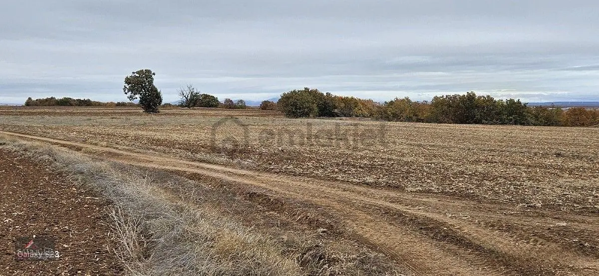 Sütlüçe Köyün'de 2.542 M2 Satılık - 32