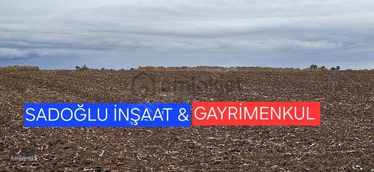Sütlüçe Köyün'de 2.542 M2 Satılık - 12