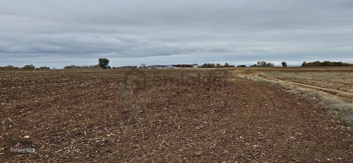 Sütlüçe Köyün'de 2.542 M2 Satılık - 30