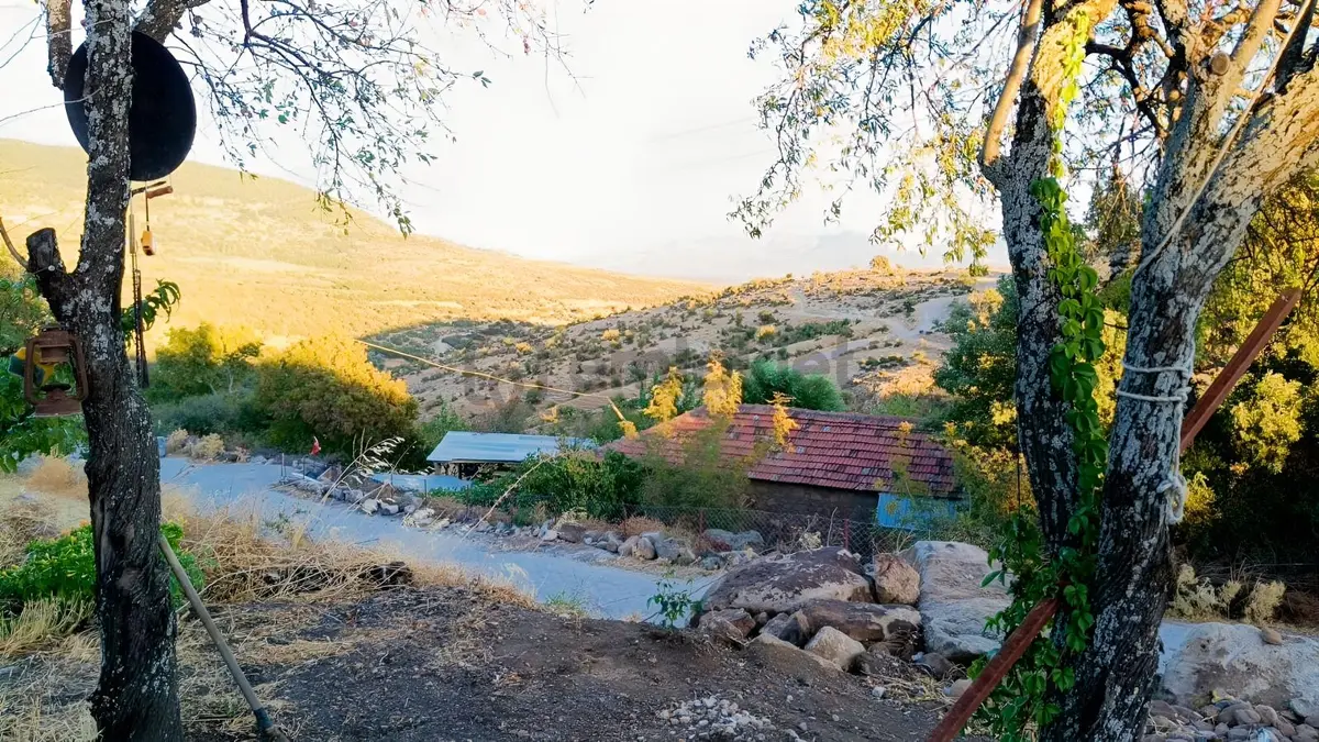 Durmuşlar'da Konteynerli 857 M2 Arsa - 13