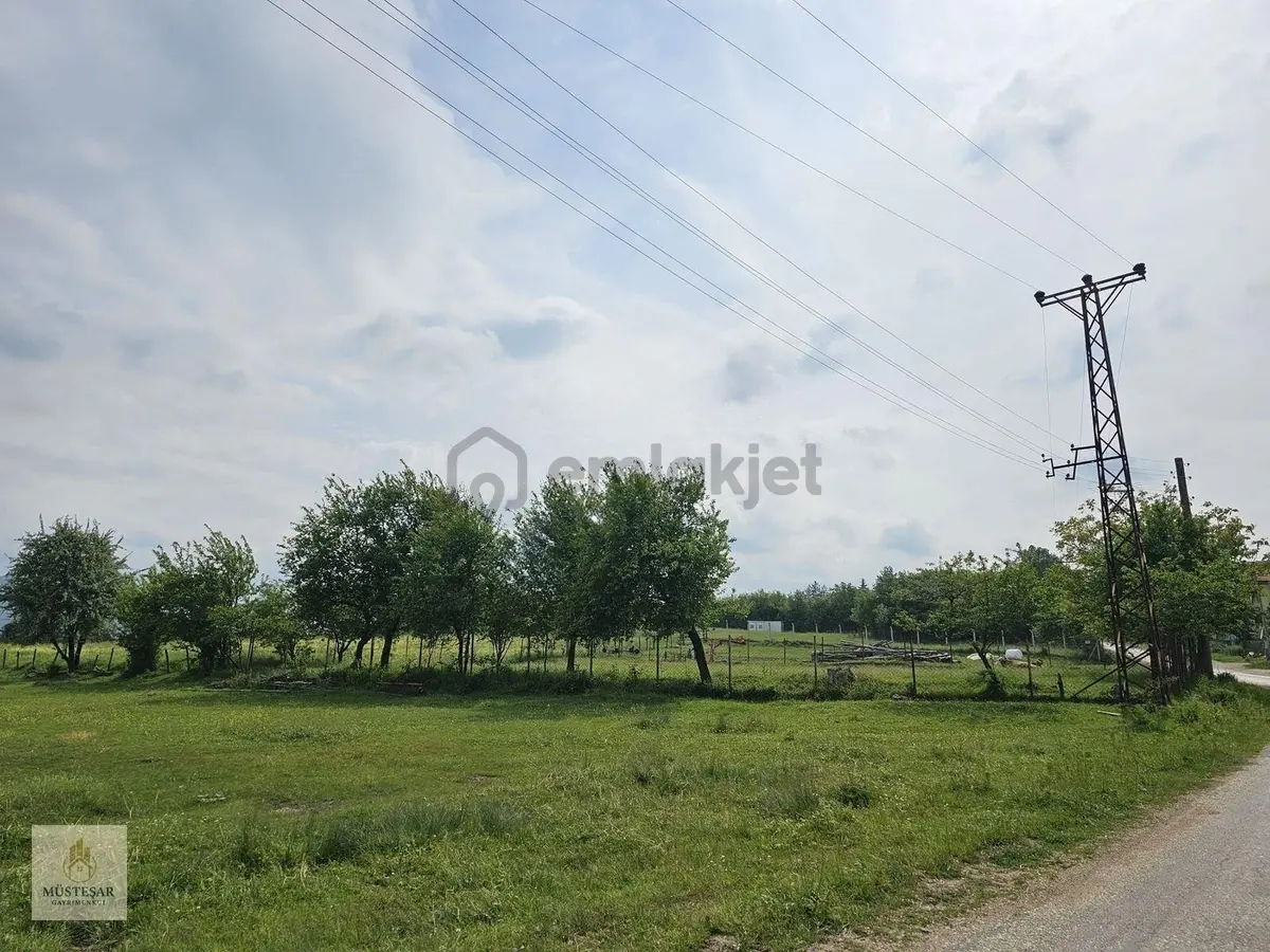 Yenisefa Köyünde İmarlı Köy İçi Arsa - 6