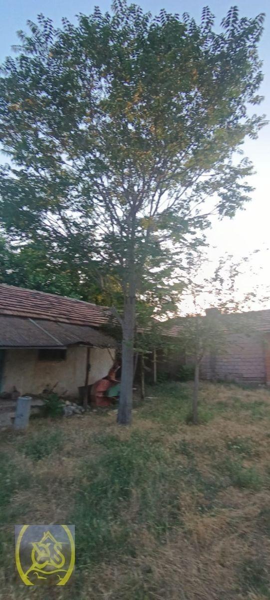 Eysu Karaca'dan Evciler İlçe. İçersinde Evi Olan Satılık Arsa. - 8