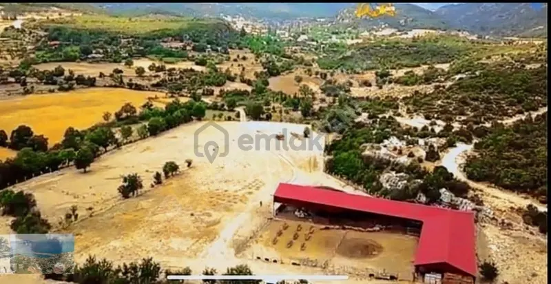 Kaş İkizce Köyünde Satılık Çiftlik - 3