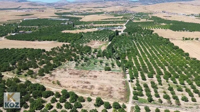 Koz Emlak'tan Akçadağ Eğin'de Satılık Tarla - 7