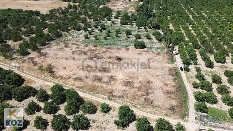 Koz Emlak'tan Akçadağ Eğin'de Satılık Tarla - 3