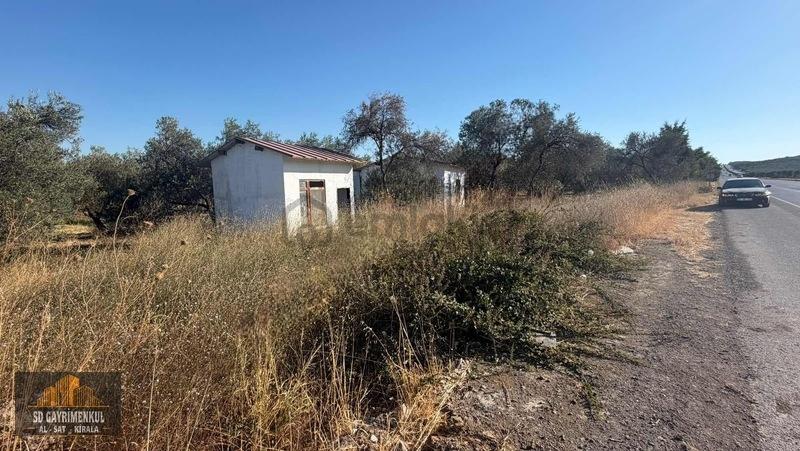 Ticari+konut İmarlı 'ruhsatlı' Asfalt Cepheli Zeytinlik - 14