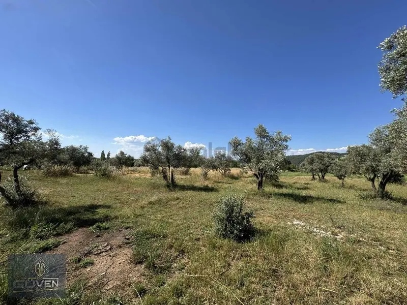Muğla Menteşe Yenice 3540 M2 Satılık İmarlı Arsa - 30