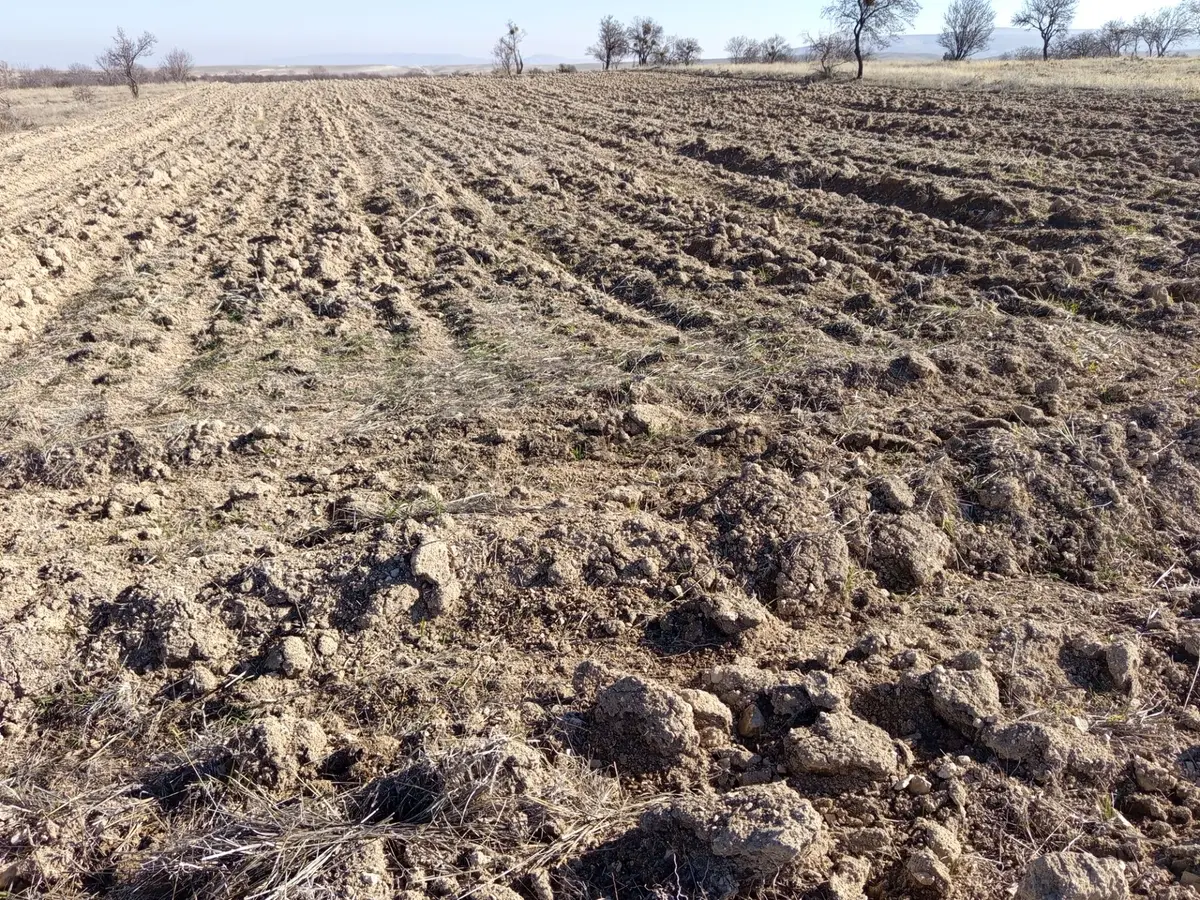 Sahibinden Köye Yakın Yol Kenarı Düz Tarla - 8