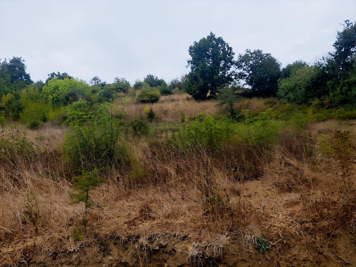 Çanakkale Lapseki Nusretiye Köyünde İmarlı Arsa - 4