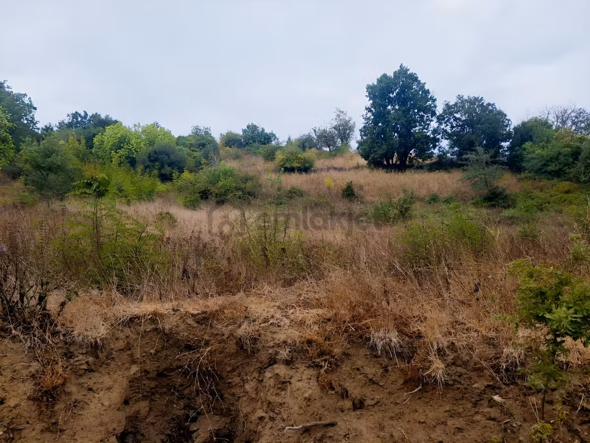 Çanakkale Lapseki Nusretiye Köyünde İmarlı Arsa - 5