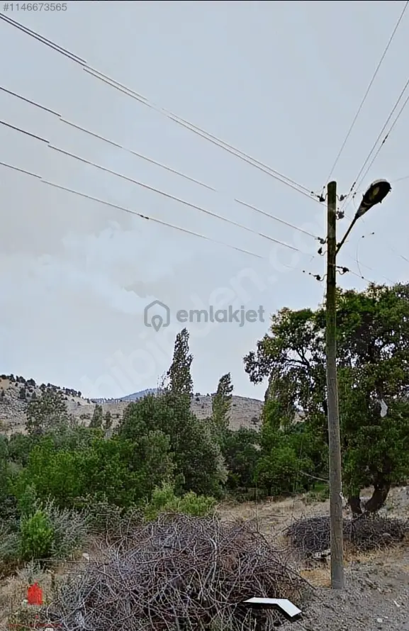Karadiğinderesinde Köy Önünde 365m2 Satılık Bahçelik - 5