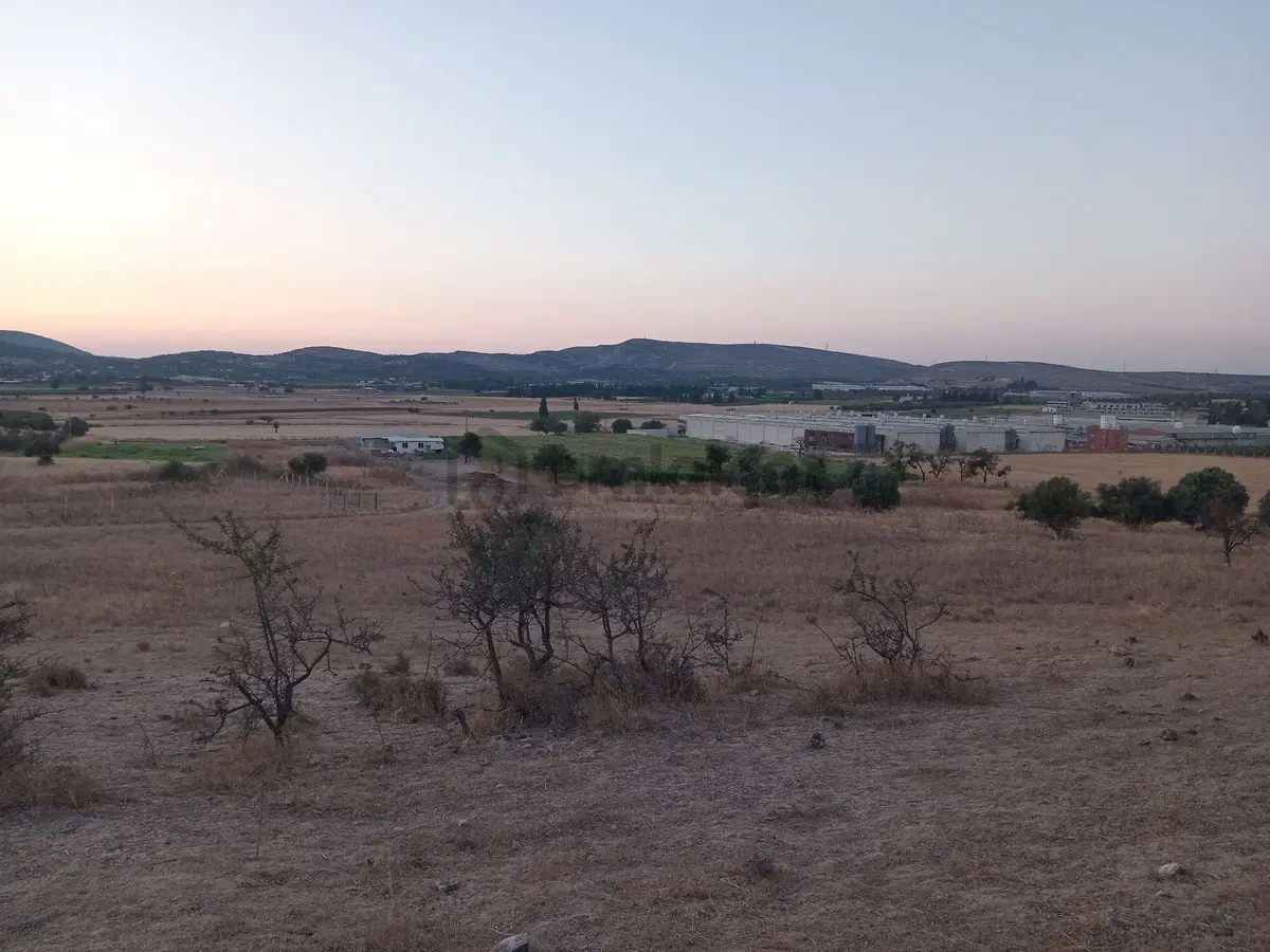 Sahibinden Foça Ilıpınarda Satılık Tarla Hissesi - 3