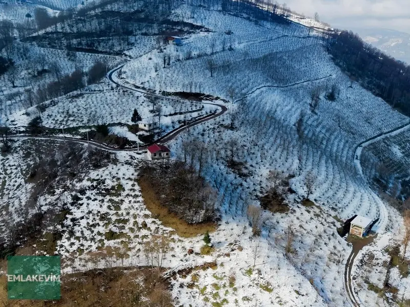 Gölyaka Yunusefendide 2.000 M² Arsa İçinde Müstakil Ev - 8