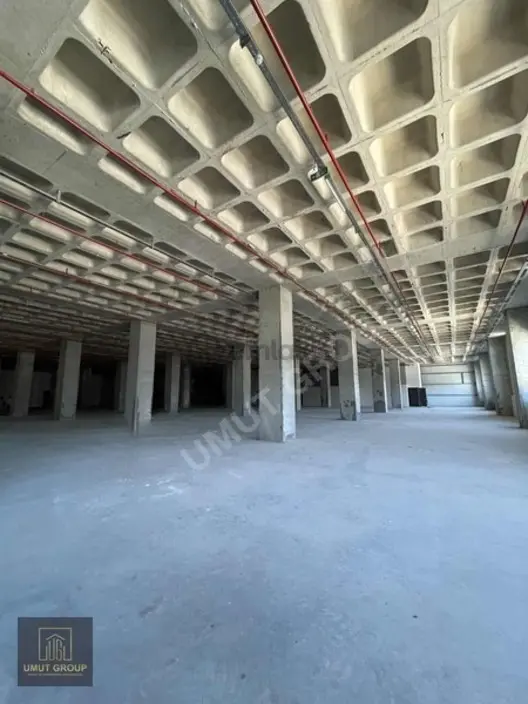 Silivri Selimpaşada 20.000 M² Kiralık Fabrika - 29