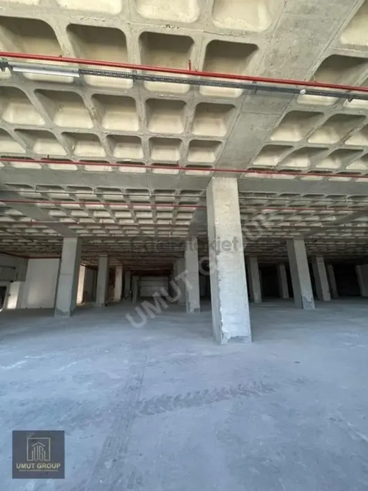 Silivri Selimpaşada 20.000 M² Kiralık Fabrika - 25