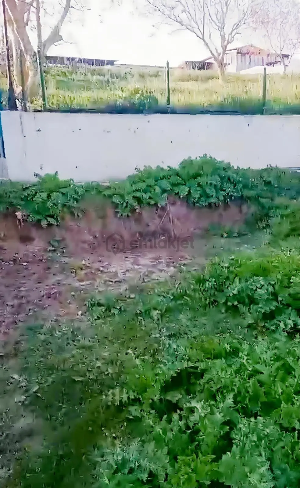 Marmaraereğlisi Çeşmelide Doğayla İç İçe 413 M² Hisse! - 9