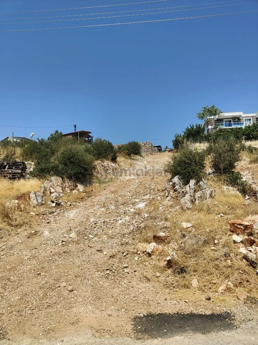 Bozköyde Satılık Zeytinlik - 2