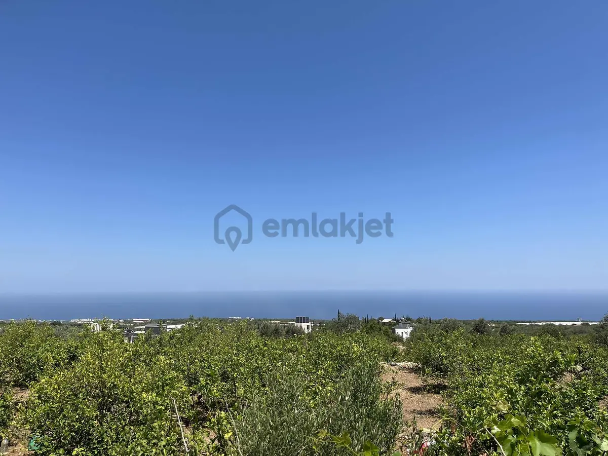 Erdemli De Satılık 7150 M2 Limon Bahcesi - 6