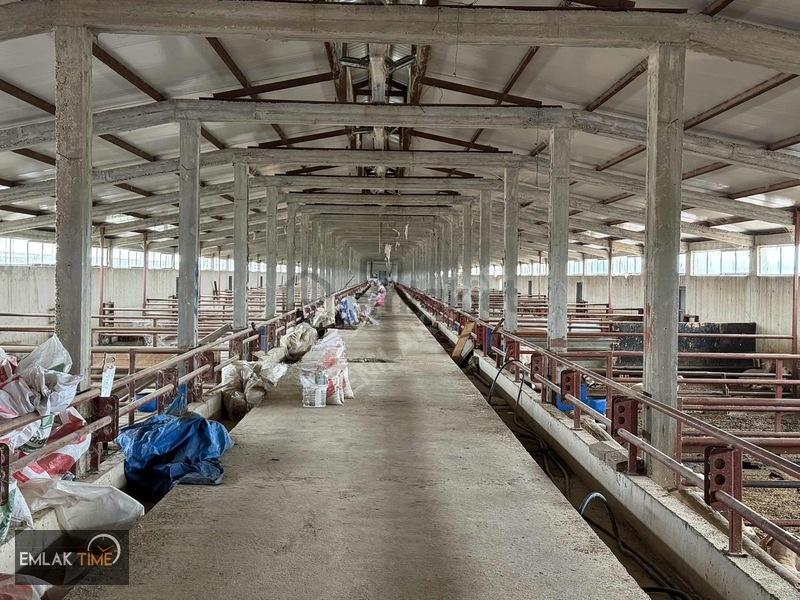 21.000m2 1500 Büyük Baş Kapasiteli Satılık Çiftlik - 31