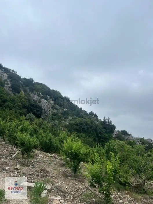 Remax Toros'tan Gözne'de Satılık Bahçe - 11
