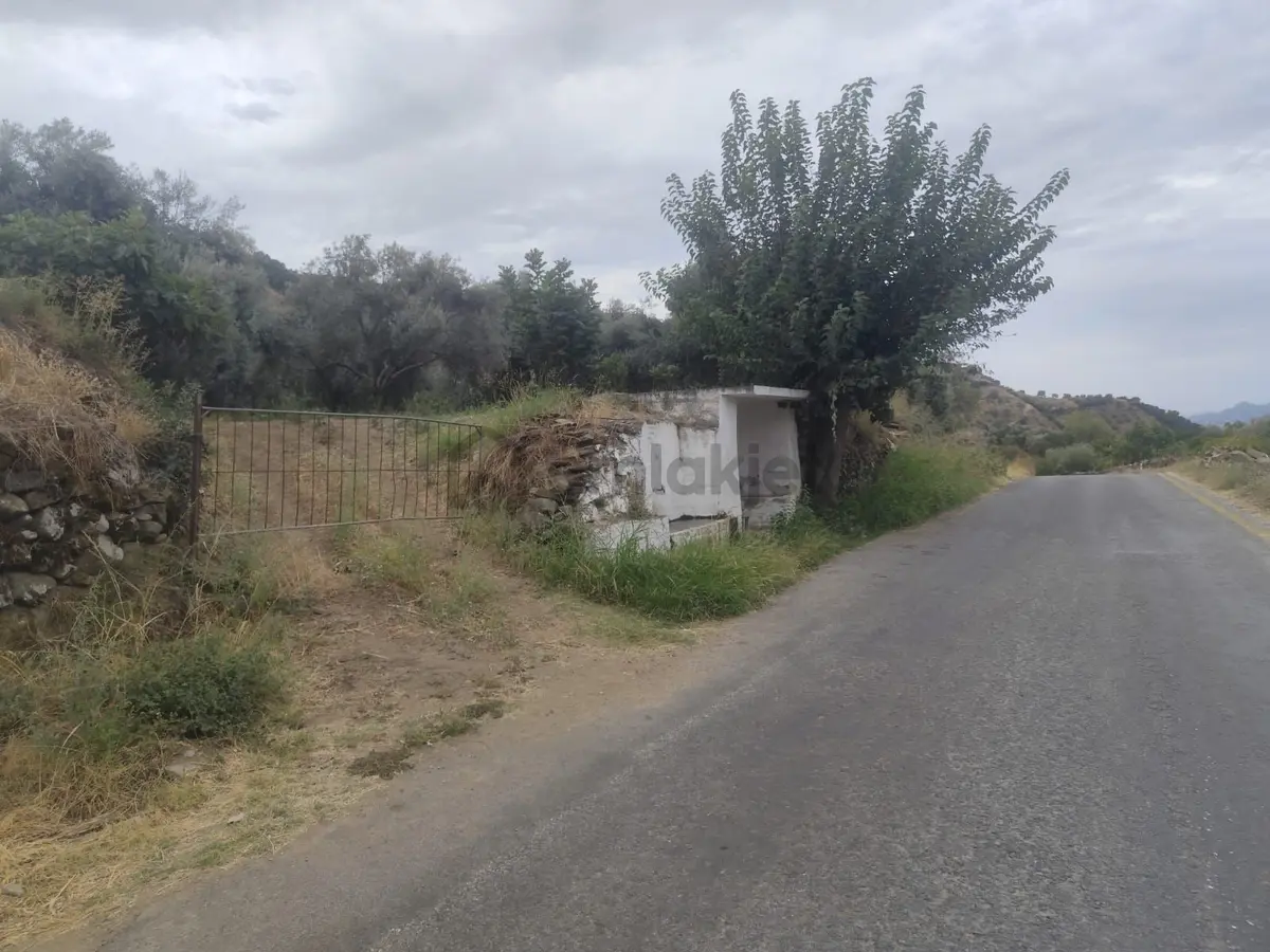 Nazilli Kozdere'de Doğa Manzaralı 2800 M² Satılık Tarla - 6