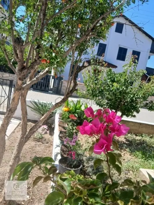 Öğretmenler Mah. Denize Yakın, 2+1 Masrafsız Daire - 11