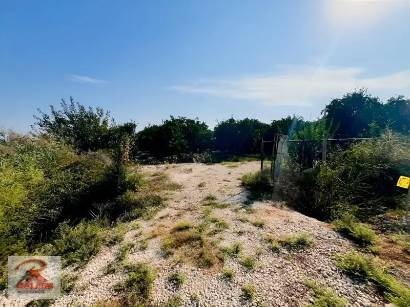 Yetişkin 49.646 M2 Narenciye Bahçesi - 20